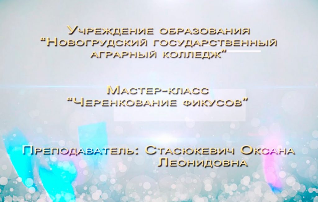 УО "Новогрудский ГАК". Мастер-класс "Черенкование фикусов"